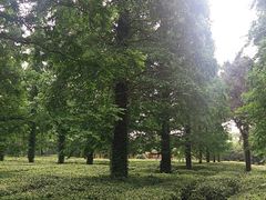 -宝岩生态观光园
