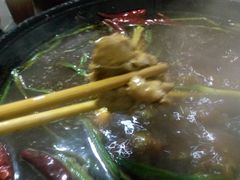 芋儿鸡-石灰市毛记烧鸡公(解放碑店)