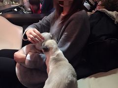 -MIKAKU(万达广场上海宝山店)