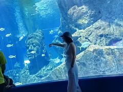 -暹罗海洋世界