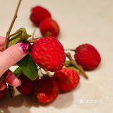 荔枝接棒