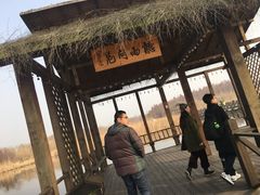 -溱湖国家湿地公园