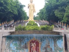 -西双版纳勐泐文化旅游区