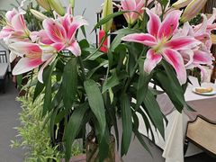 -泓盛花园