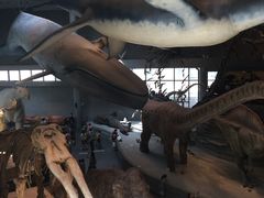 -陈光记烧腊(长寿路店)