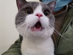 -萌兽医馆·犬猫专科·眼科中心·宠物医院(朝阳门分院)