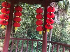 -杭州西湖风景名胜区-三生石
