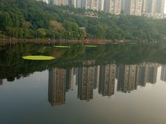 -重庆彩云湖湿地公园