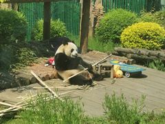 -大连森林动物园