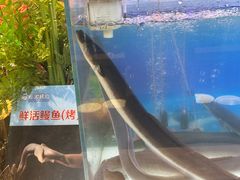 -伍棵煋炭烤自助料理·烤鳗鱼(浦东食品城店)