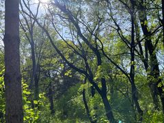 -长春市南湖公园