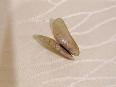 金不换炒薄壳-迈姨·潮州菜(麓湖公园店)