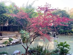 -汇龙潭