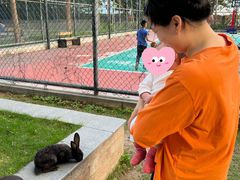 -天鹅到家·保姆月嫂育儿嫂(天河店)