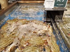 -七鲜超市(瑞虹天地太阳宫店)