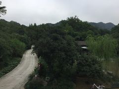 -西院1号(龙井店)