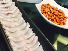 河豚-中苑海韵
