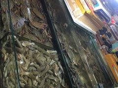 -福春大市场水产厅