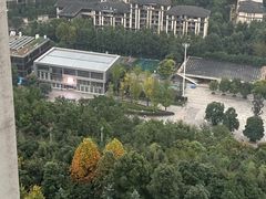 -龙头寺公园