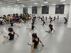 -西安小天鹅艺术团(金花路校区)