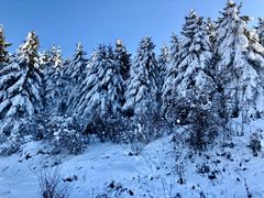 -太子岭滑雪场