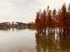 -白鹭湾湿地公园