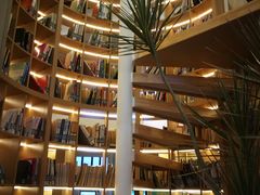 -昆山城市生态森林公园