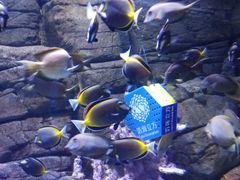 -成都浩海立方海洋公园