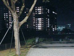-福田红树林生态公园