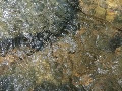 -青龙双河漂流