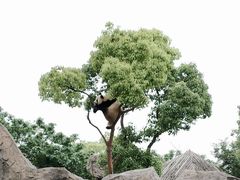 -上海野生动物园