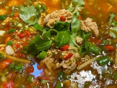 -飞虹鱼馆(春华路店)