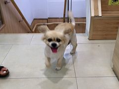 -宠福鑫康馨动物医院·骨科·眼科