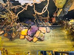 -恰八斗·猛火长沙菜(国贸店)