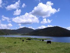 南无投资策划有限公司-佛山祈福仙湖酒店