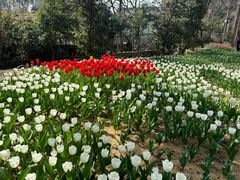 -无锡梅园公园