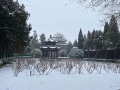 -洛阳白马寺