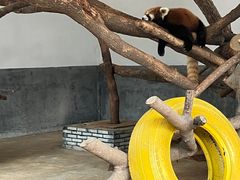 -杭州野生动物世界