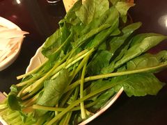 -芦月轩羊蝎子(北蜂窝店)