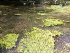 -水磨沟公园