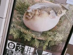 -玄品河豚(那覇國際通里之関)