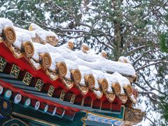 -故宫博物院(故宫)