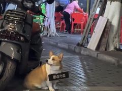 -李开心火锅馆(回兴店)