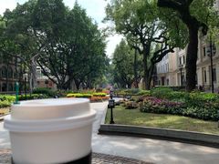 -星巴克臻选(广州沙面店)