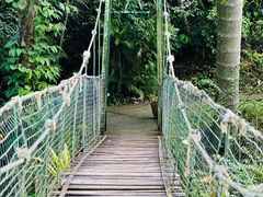 -中国科学院西双版纳热带植物园