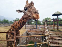 -西安秦岭野生动物园