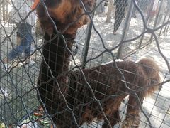 -长白岛森林公园