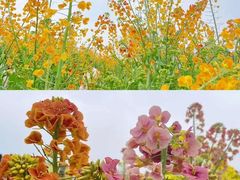 -中国天府农业博览园