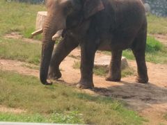 -西安秦岭野生动物园
