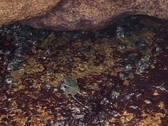 -那琴半岛地质海洋公园